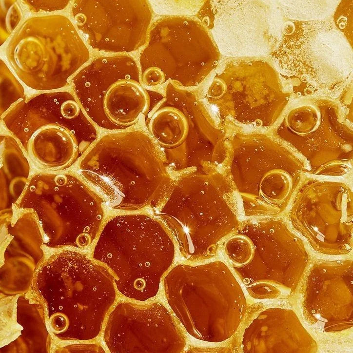 Skincare Tips Using African Botanicals